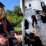latest-trump-assassination-attempt-exposes-‘educated-assassins’-moral-crisis,-university-president-says