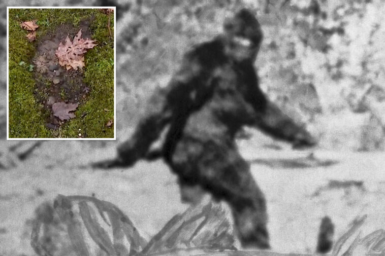 fears-of-mysterious-beast-spread-in-ohio-after-locals-record-eerie-howls,-enormous-footprints:-‘i-know-what-i-saw’