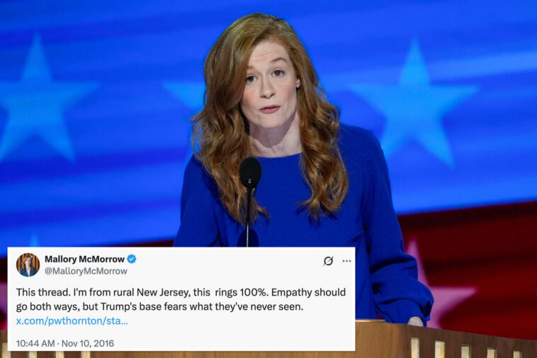 michigan-dem-senate-candidate-mallory-mcmorrow-defends-tweet-trashing-rural-america,-extolling-coastal-elites
