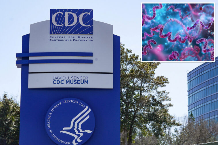 syphilis-spikes-in-california-as-health-chiefs-warn-sexually-active-to-urgently-get-tested