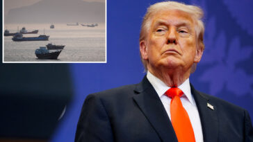 trump-says-us-will-guide-stranded-ships-out-of-strait-of-hormuz:-‘get-on-with-their-business’