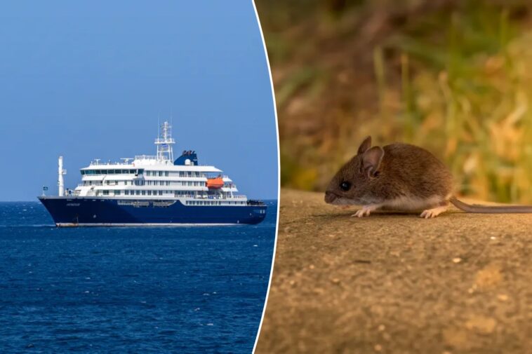 what-is-hantavirus?-disease-suspected-of-killing-three-on-cruise-ship-explained
