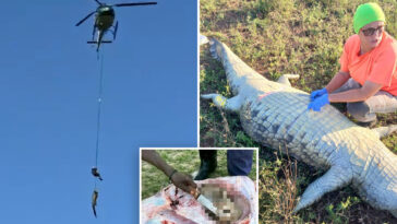 croc-victim’s-remains-recovered-after-15-foot-animal-is-caught-and-airlifted-from-river