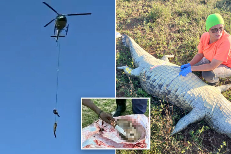croc-victim’s-remains-recovered-after-15-foot-animal-is-caught-and-airlifted-from-river