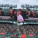 red-sox-fan-proposal-gets-really-awkward:-‘looked-like-the-woman-said-i-don’t-know’