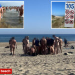famed-nudist-resort-is-now-overrun-by-globe-trotting-swingers-who-won’t-stop-having-sex-in-the-sand
