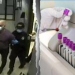 doj-sentences-pair-in-$522m-dna-testing-fraud-scheme-after-suspect-tried-to-flee-us