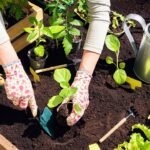 wayfair’s-outdoor-event-is-live:-save-up-to-77%-on-gardening-deals-for-a-limited-time