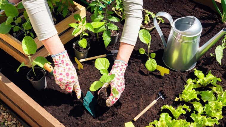 wayfair’s-outdoor-event-is-live:-save-up-to-77%-on-gardening-deals-for-a-limited-time