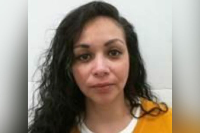 ice-deports-deranged-illegal-immigrant-—-let-loose-by-obama-admin-—-who-tried-to-murder-her-newborn-son-on-long-island