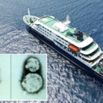 inside-the-deadly-hantavirus-infected-cruise-ship,-mv-hondius,-where-3-passengers-have-died