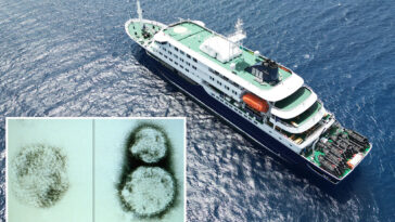 the-two-possible-causes-for-the-cruise-ship-hantavirus-outbreak-—-one-is-disgusting,-and-the-other-is-terrifying