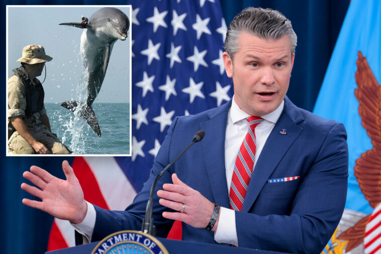 hegseth-denies-iran-has-‘kamikaze-dolphins’-—-but-suggests-us-might
