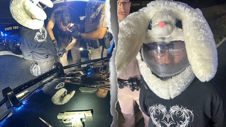 florida-man-in-bunny-helmet-allegedly-led-police-on-120-mph-chase-before-surrendering-to-troopers