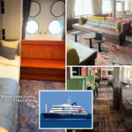cruise-ship-infected-with-terrifying-hantavirus-strain-that-has-40%-mortality-rate,-who-believes-—-here’s-what-happens-next