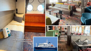 cruise-ship-infected-with-terrifying-hantavirus-strain-that-has-40%-mortality-rate,-who-believes-—-here’s-what-happens-next