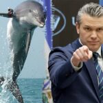 hegseth-shoots-down-iran-‘kamikaze-dolphins’-—-leaves-us-question-open
