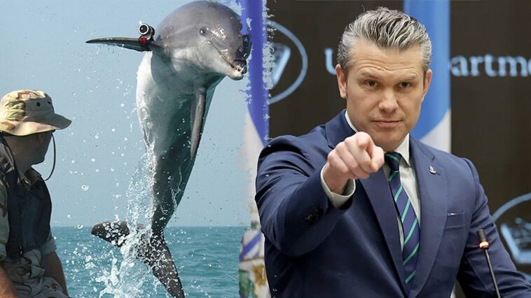 hegseth-shoots-down-iran-‘kamikaze-dolphins’-—-leaves-us-question-open