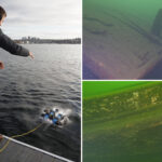 underwater-robotics-expert-reveals-‘shipwreck-city’-hidden-beneath-major-west-coast-lake