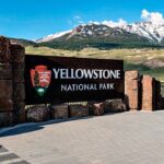 bear-attack-in-yellowstone-national-park-leaves-2-hikers-injured