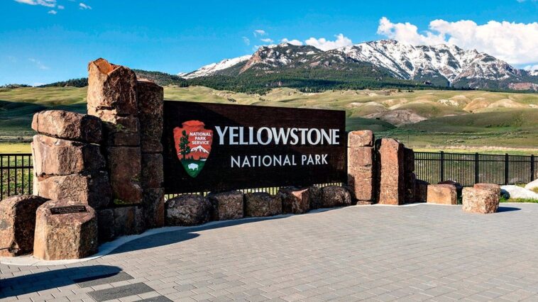 bear-attack-in-yellowstone-national-park-leaves-2-hikers-injured