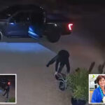 prowler-wearing-mask,-gloves-spotted-in-nancy-guthrie’s-neighborhood-—-3-months-after-she-vanished