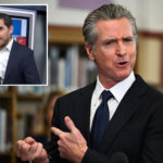 gavin-newsom-loses-it-on-cnn-analyst-who-called-out-spiraling-california-gas-prices
