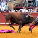 weeks-after-bullfighter-suffered-perforated-rectum,-another-was-gored-in-groin-and-required-emergency-surgery