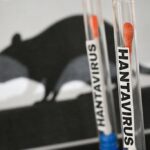 deadly-rare-virus-prime-suspect-in-cruise-ship-nightmare