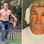 illegal-immigrant-to-admit-to-colorado-firebombing-attack-on-pro-israel-demonstrators-—-after-previously-pleading-not-guilty