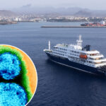 the-‘concerning’-truth-about-the-hantavirus-cruise-outbreak-—-and-how-long-passengers-may-actually-need-to-isolate