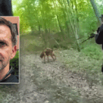 caught-on-video:-bloodhound-tracks-armed-special-forces-fugitive-into-woods-after-allegedly-shooting-wife
