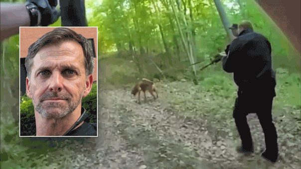 caught-on-video:-bloodhound-tracks-armed-special-forces-fugitive-into-woods-after-allegedly-shooting-wife