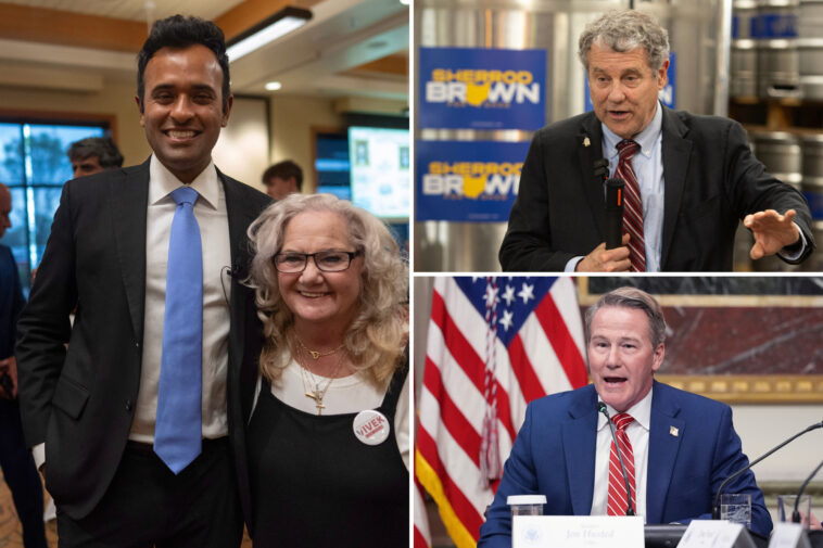 vivek-ramaswamy-wins-gop-primary-for-ohio-governor,-brown-notches-dem-nod-to-face-husted-for-senate-seat