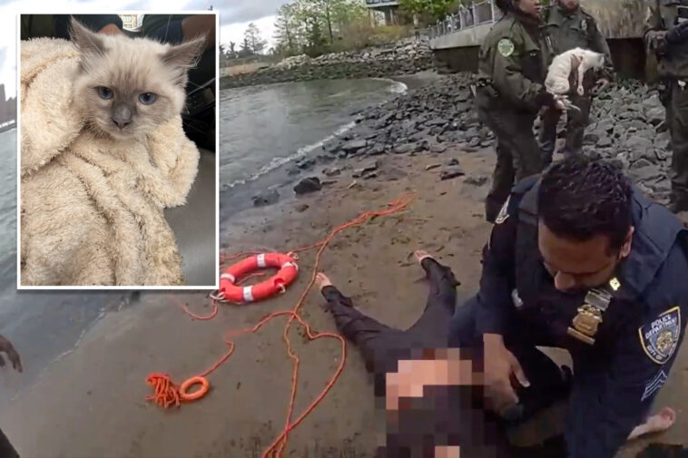 nypd-rescues-woman,-cat-stranded-in-east-river-under-brooklyn-bridge:-video