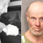 neighbors-furious-as-ring-camera-lunatic-released-back-on-the-streets