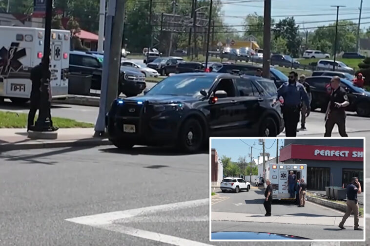 beloved-nj-crossing-guard,-80,-struck-and-killed-by-car-after-pushing-kids-out-of-harm’s-way