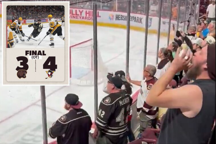 minor-league-hockey-fans-throw-debris-on-ice,-refuse-to-leave-arena-after-bizarre-overtime-goal