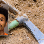 california-man-sentenced-to-prison-for-using-pickaxe-to-kill-teen-brother-with-cerebral-palsy