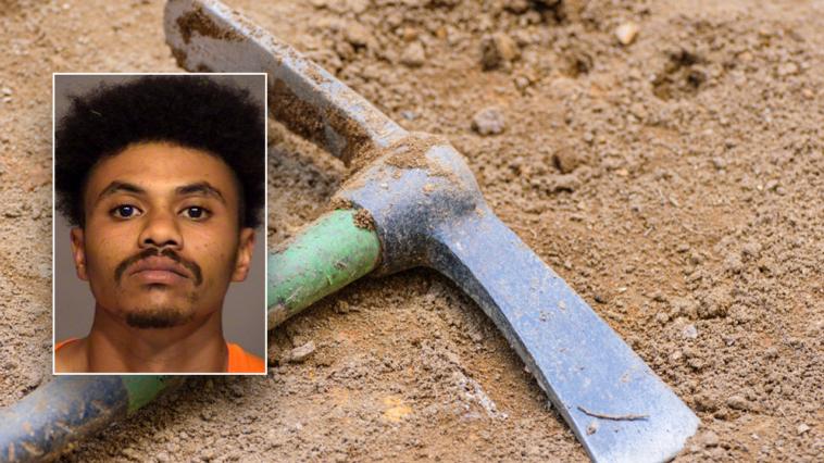 california-man-sentenced-to-prison-for-using-pickaxe-to-kill-teen-brother-with-cerebral-palsy