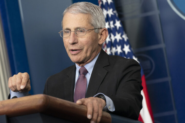 wayne-root:-message-to-gop:-stop-being-such-cowards,-pansies-&-pussy-cats-there’s-more-than-one-way-to-put-dr-fauci-in-prison.