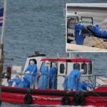 health-officials-think-they’ve-tracked-down-source-of-cruise-ship-hantavirus-outbreak