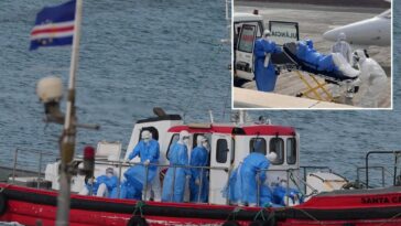 health-officials-think-they’ve-tracked-down-source-of-cruise-ship-hantavirus-outbreak