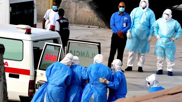 argentina-investigators-zero-in-on-possible-origin-point-of-hantavirus-in-deadly-cruise-outbreak