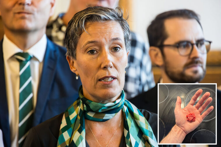 radical-pol-wants-to-limit-nursing-home-residents-to-2.8-ounces-of-beef-a-week-—-less-than-a-big-mac