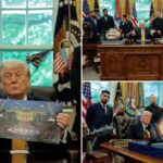 trump-hosts-ufc-fighters-to-promote-upcoming-white-house-lawn-event-—-with-special-title-belt
