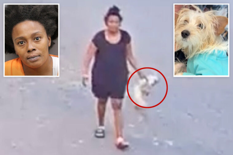 puppy-dies-after-sick-woman-kicks,-hurls-pooch-in-caught-on-camera-assault:-‘special-place-in-hell’