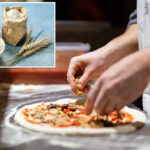 new-yorkers-offer-mixed-topping-of-reactions-to-impending-ban-on-common-pizza-ingredient:-‘you’ve-ruined-my-grandma-slice’