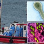 hantavirus-concerns?-4-other-emerging-animal-to-human-diseases-that-can-be-extremely-deadly