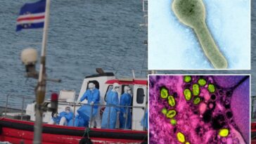 hantavirus-concerns?-4-other-emerging-animal-to-human-diseases-that-can-be-extremely-deadly